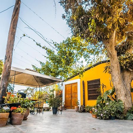 Luchy'S Country House Hostel Ica Exterior foto