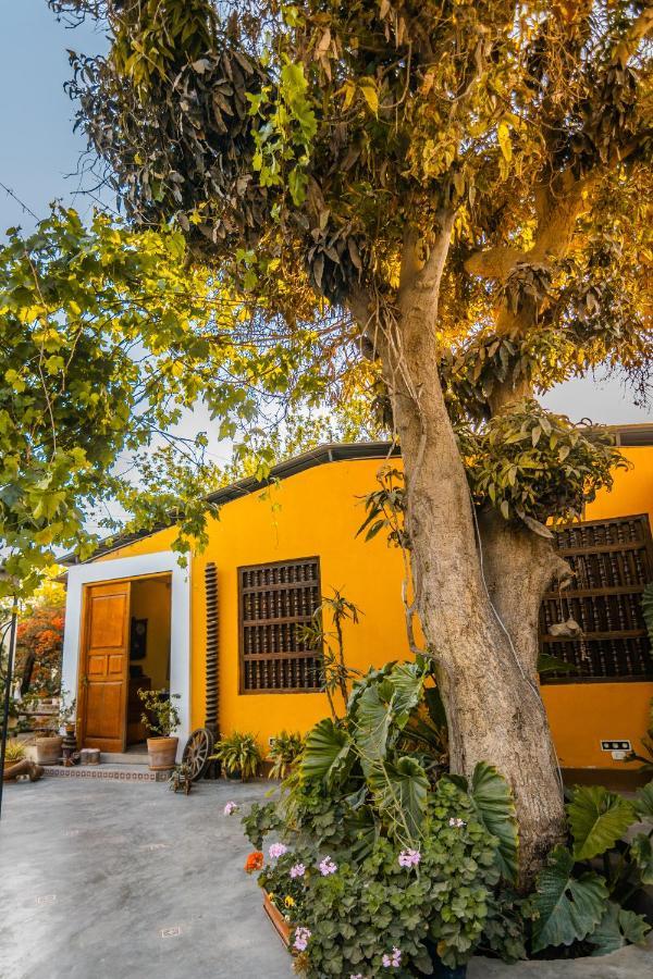 Luchy'S Country House Hostel Ica Exterior foto