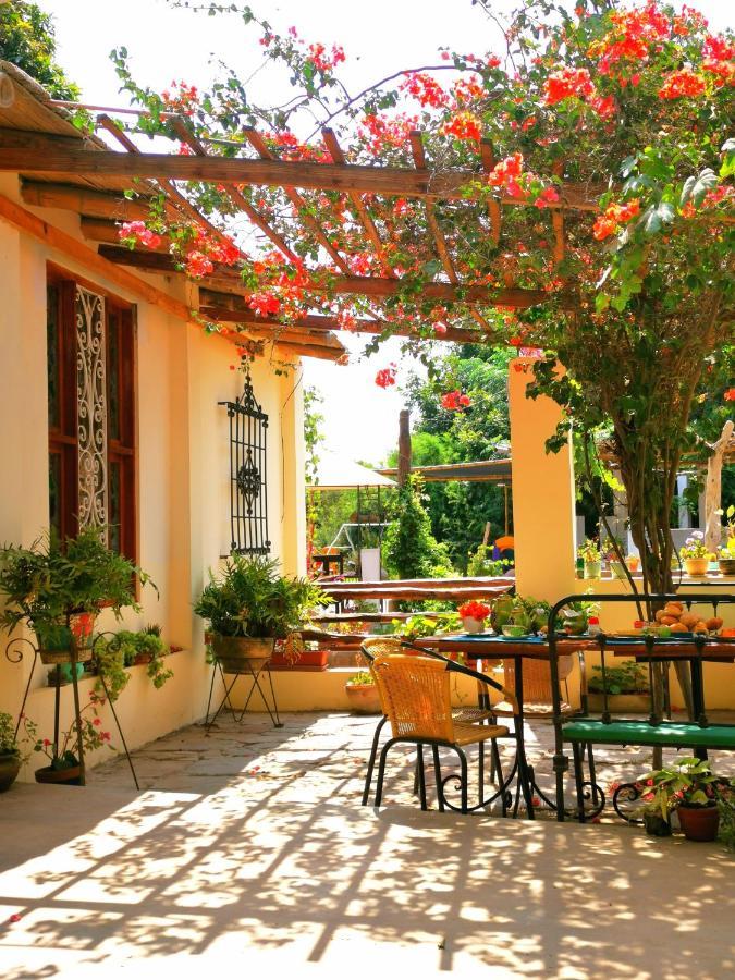 Luchy'S Country House Hostel Ica Exterior foto