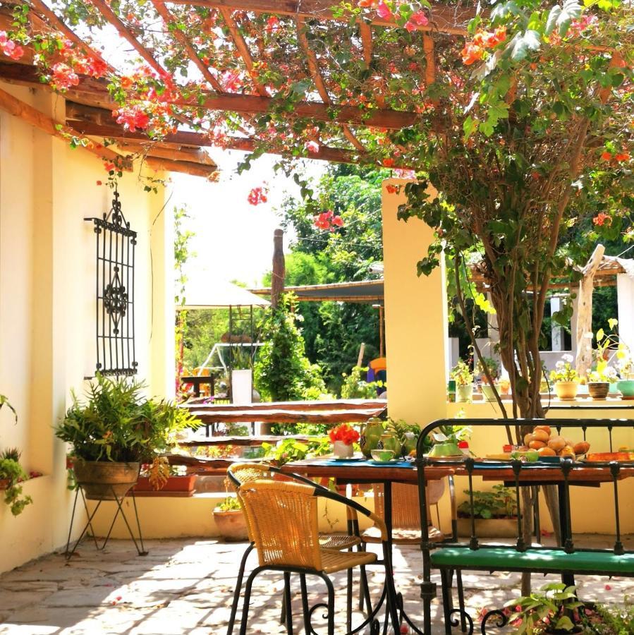 Luchy'S Country House Hostel Ica Exterior foto