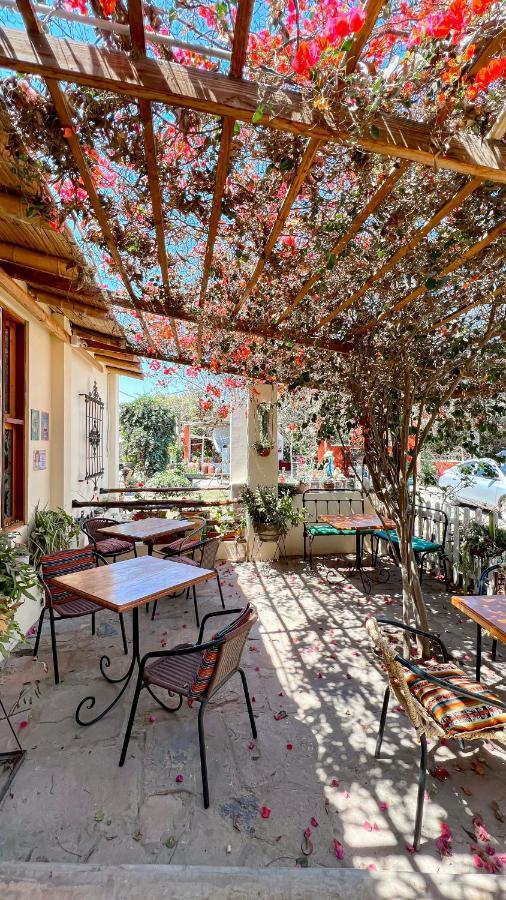 Luchy'S Country House Hostel Ica Exterior foto