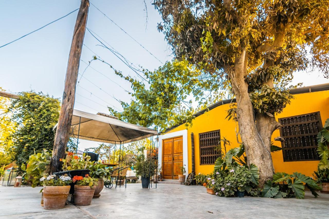Luchy'S Country House Hostel Ica Exterior foto